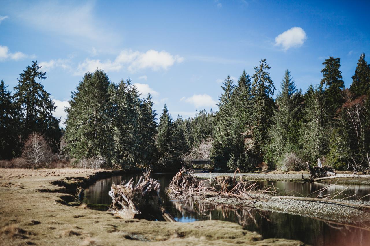 Port Hardy Cabins Bagian luar foto